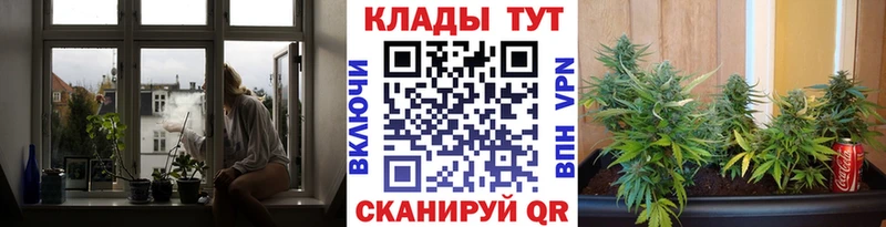 Купить Альфа ПВП  Галлюциногенные грибы  АМФЕТАМИН  Каннабис  Гашиш  Меф  Cocaine  Чадан