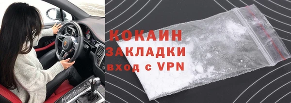 дживик Инта