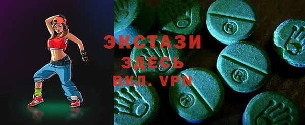 дживик Инта