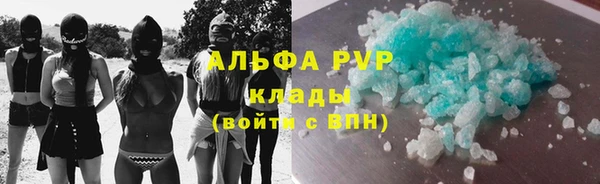 дживик Инта