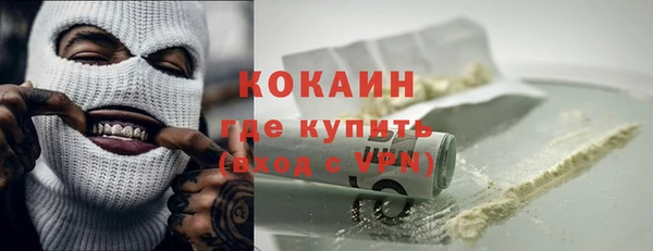 дживик Инта