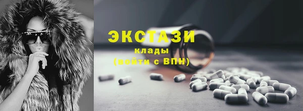 дживик Инта