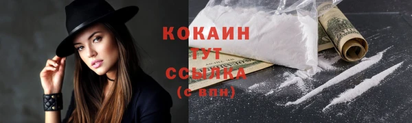 дживик Инта