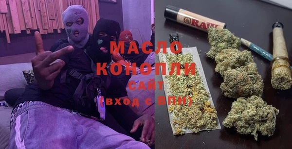 дживик Инта