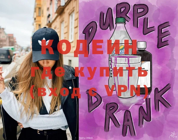 дживик Инта